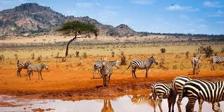 kenyaDestination